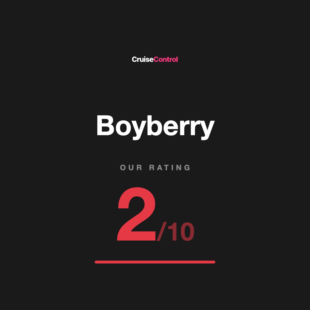 Boyberry
